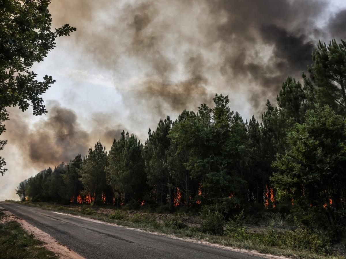 Ola de calor en Europa