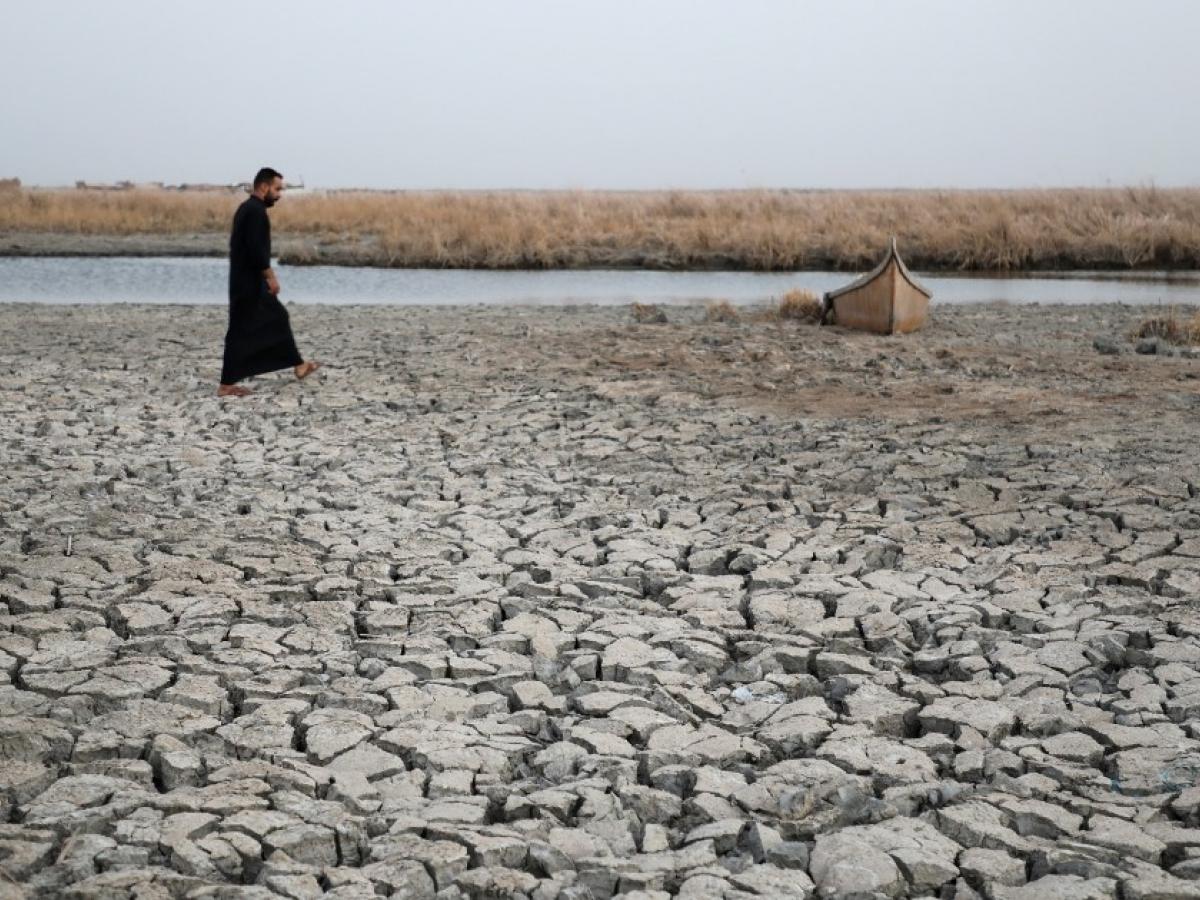 Jardín de la Edén en Irak: un desierto por cuenta de la sequía 