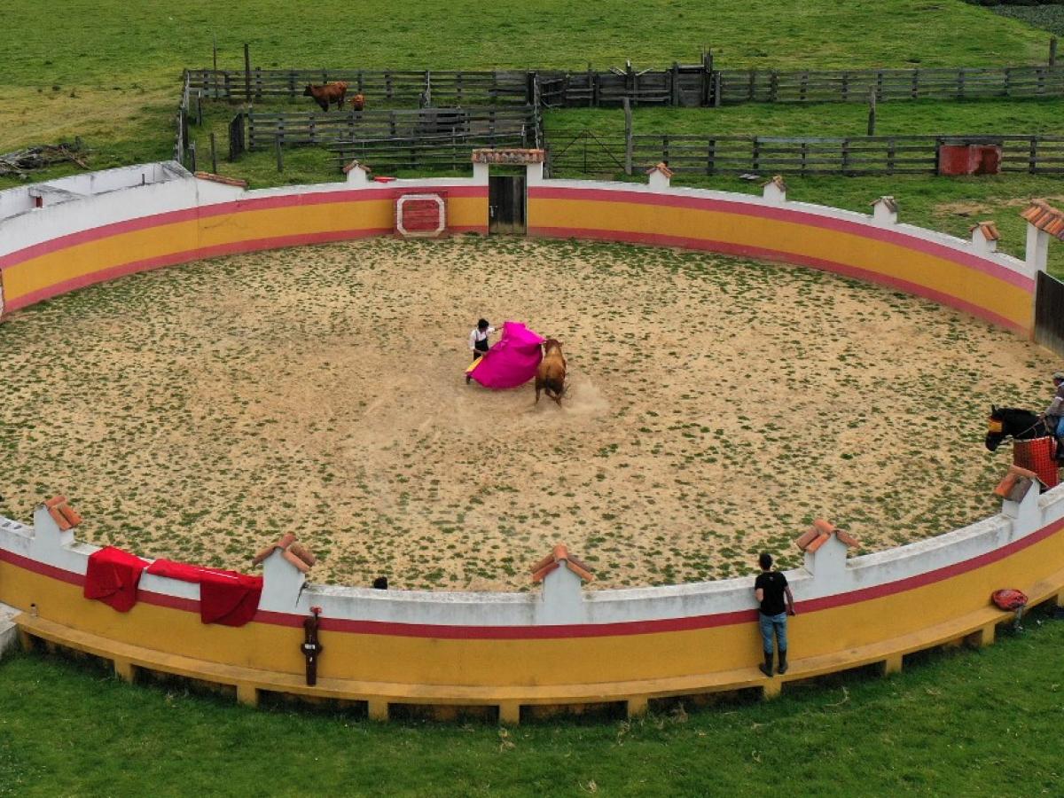 Proyecto de ley para prohibir las corridas de toros se hundió en el Congreso