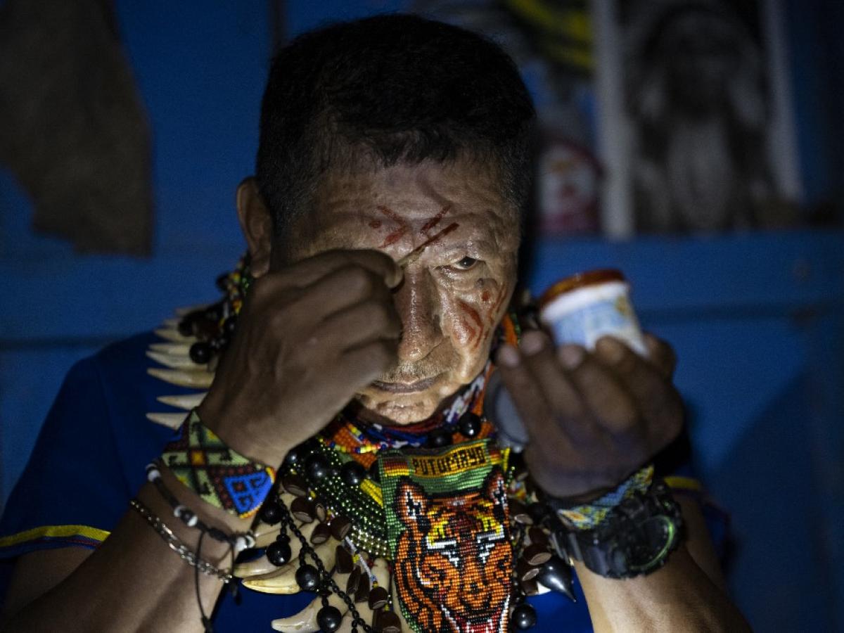 El "camino sagrado" de la ayahuasca en la Amazonía ecuatoriana