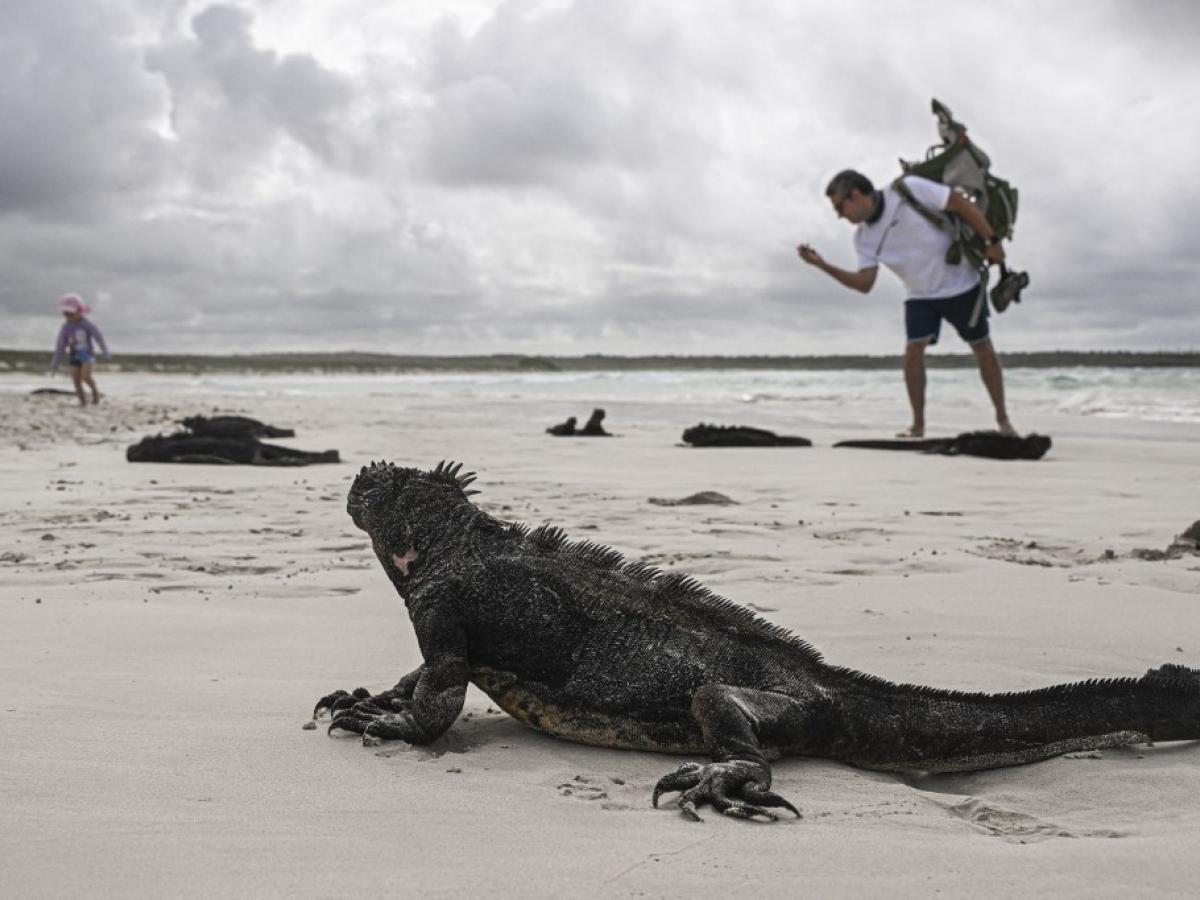 Fenómeno del Niño 2023: amenazas y altas temperaturas