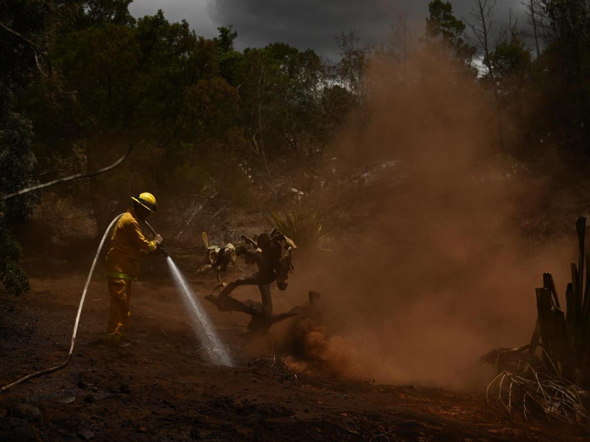 ¿Cuáles son los incendios más grandes del siglo XXI?