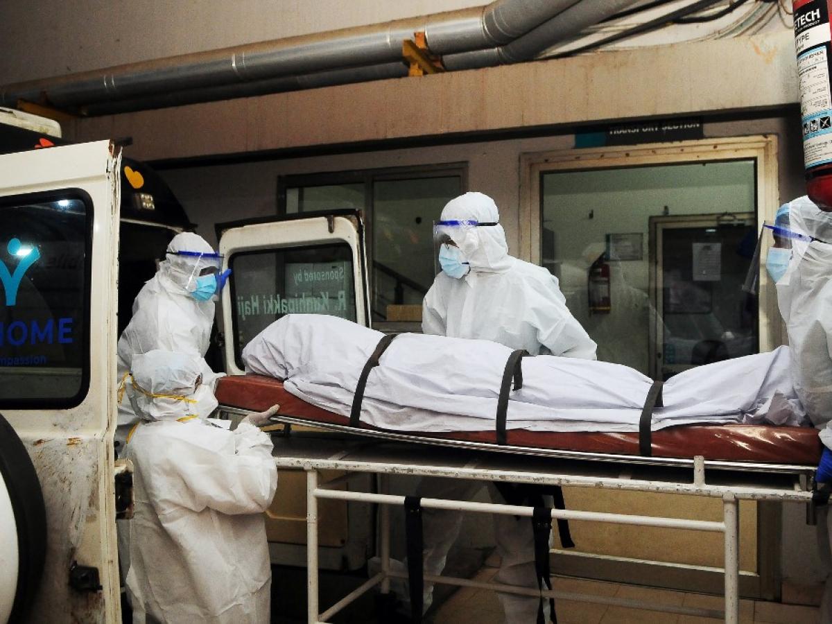 virus Nipah en India: qué es, síntomas y cómo se transmite