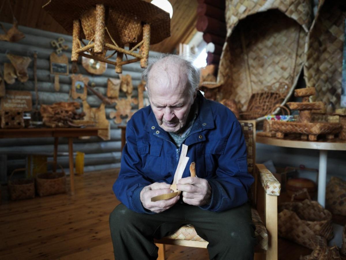 Artista transforma la corteza de abedul en arte en Finlandia 