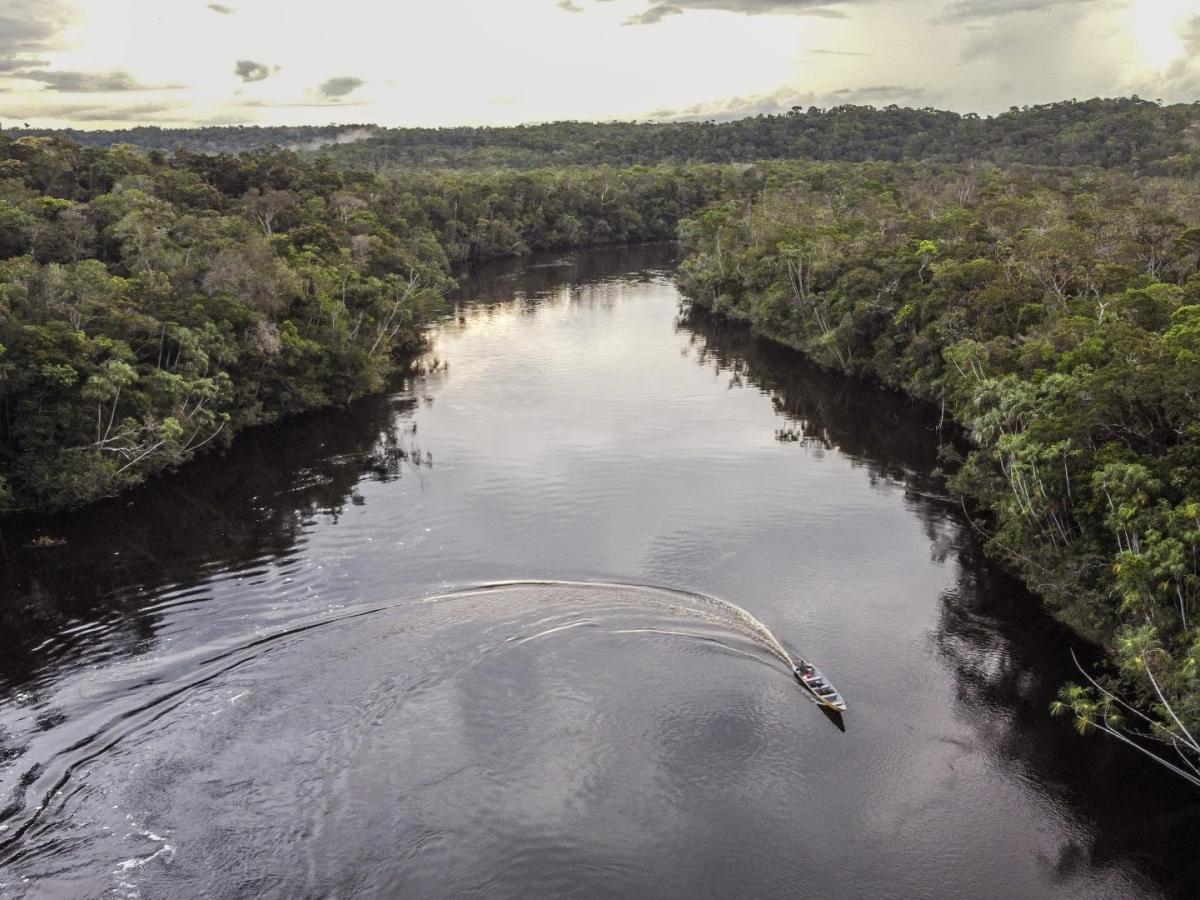 Amazonas: Indígenas ganaron pleito por bonos de carbono
