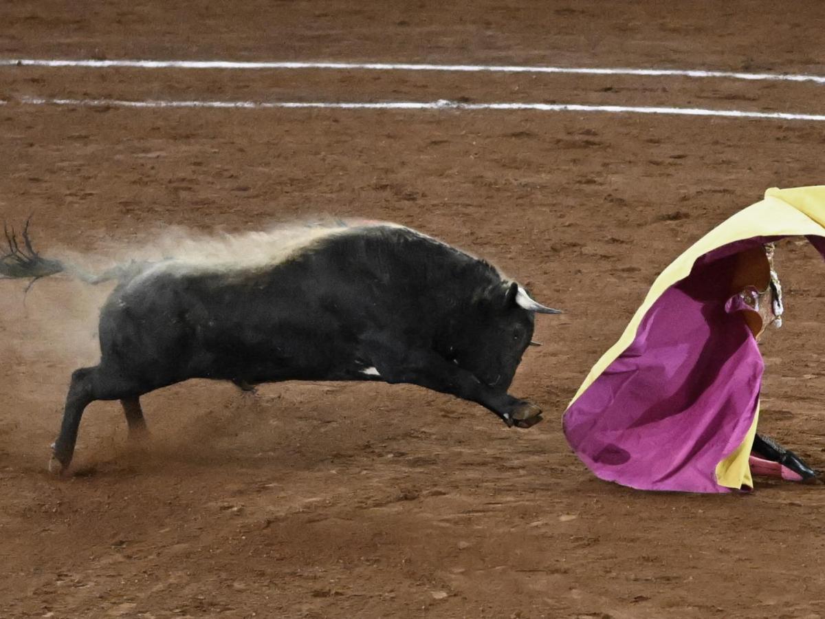 Corrida de toros