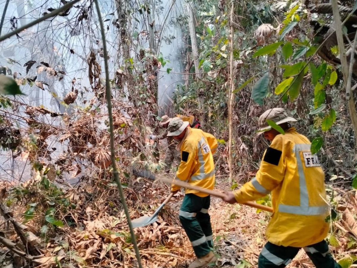 Incendios forestales Bolivia: afectaciones, cuántos casos