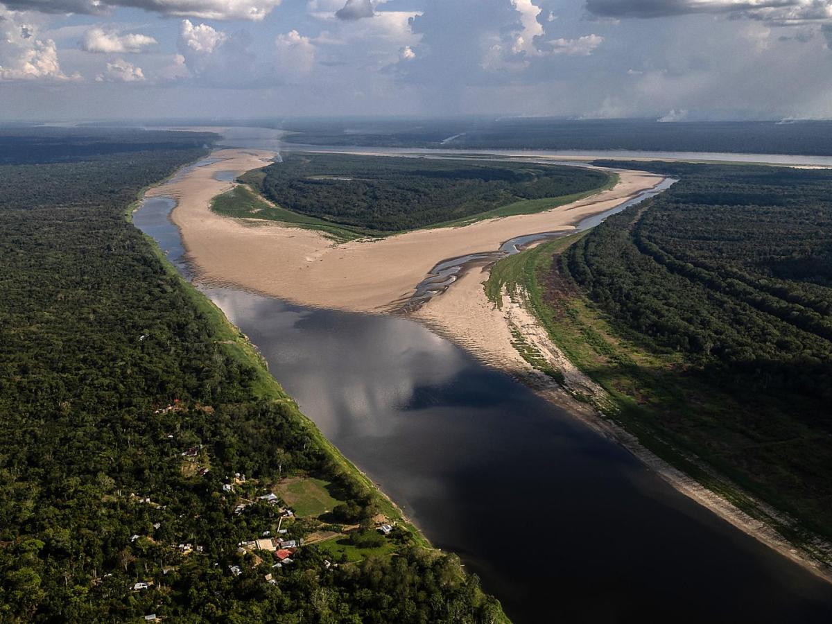 COP16: Inversión de 75 millones de dólares para la conservación de la biodiversidad y lucha contra la deforestación en Colombia