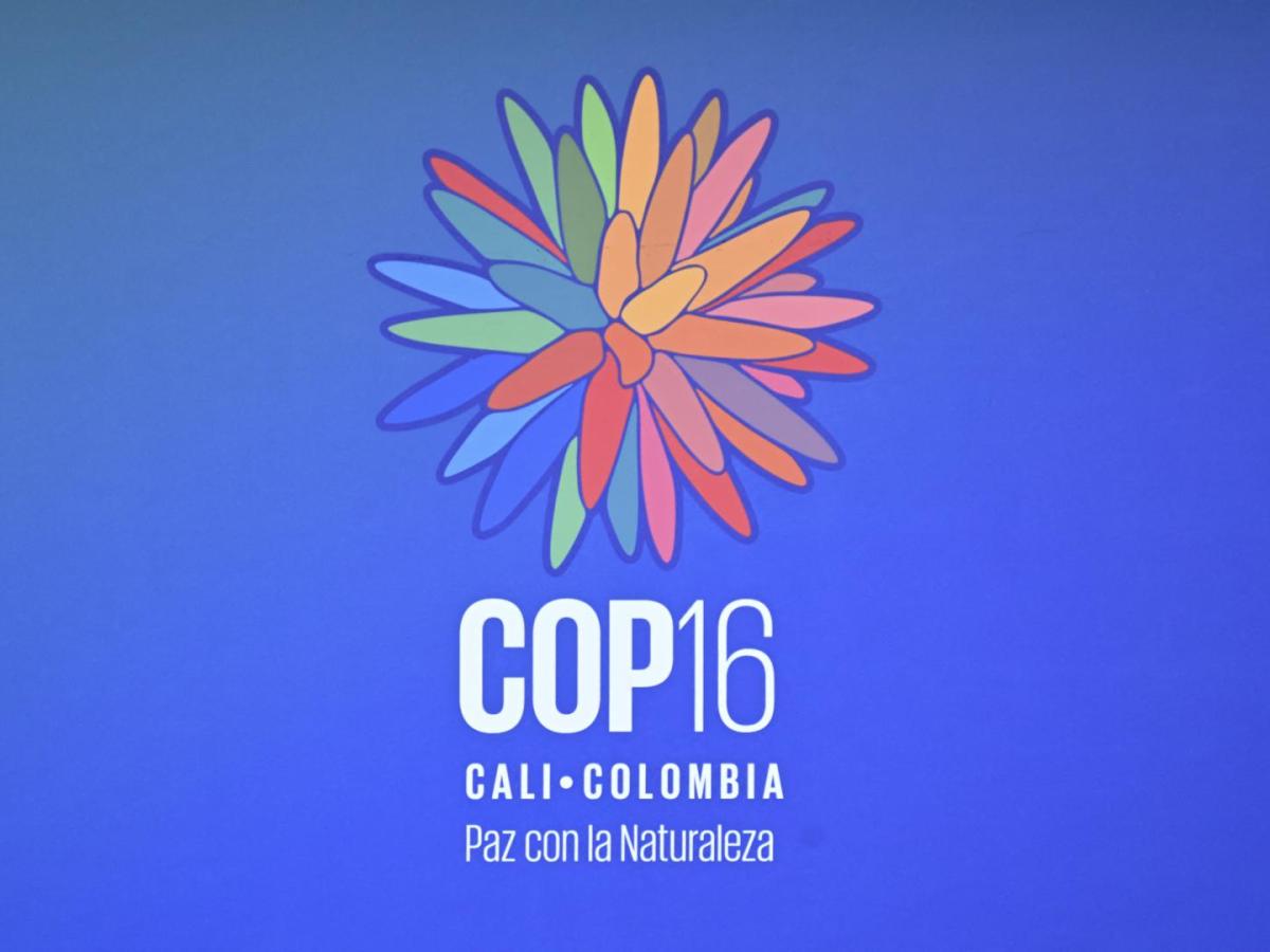 COP16 Inauguración HOY 20 de octubre: dónde ver por RTVC, horario