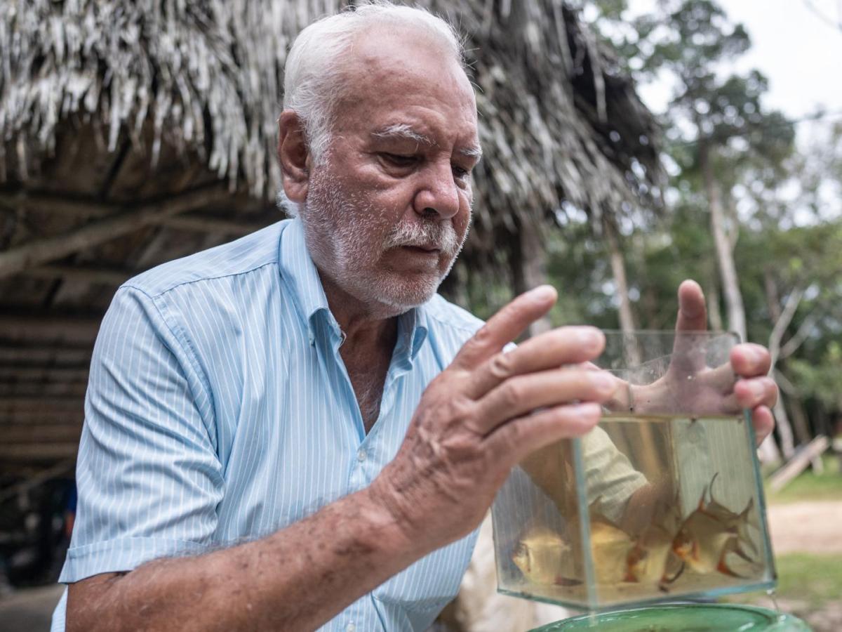 Guainía decora los acuarios del mundo 