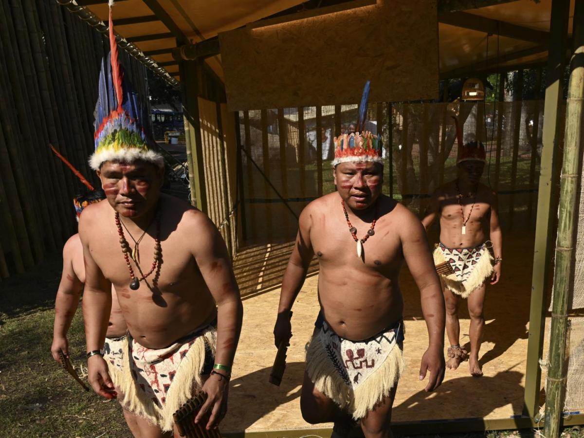 COP16: indígenas piden financiación para conservar la Amazonía