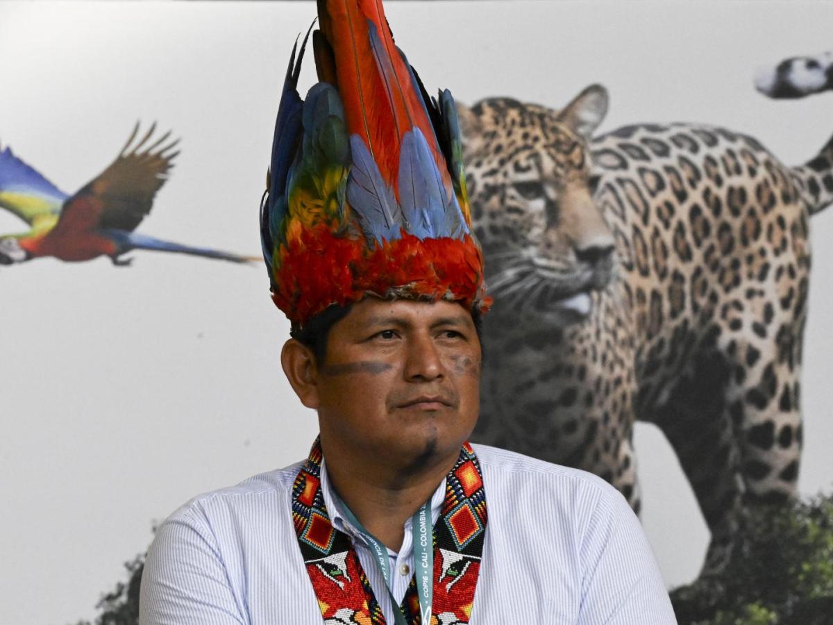 COP16, viernes 25 de octubre. Horarios, eventos y dónde ver en vivo