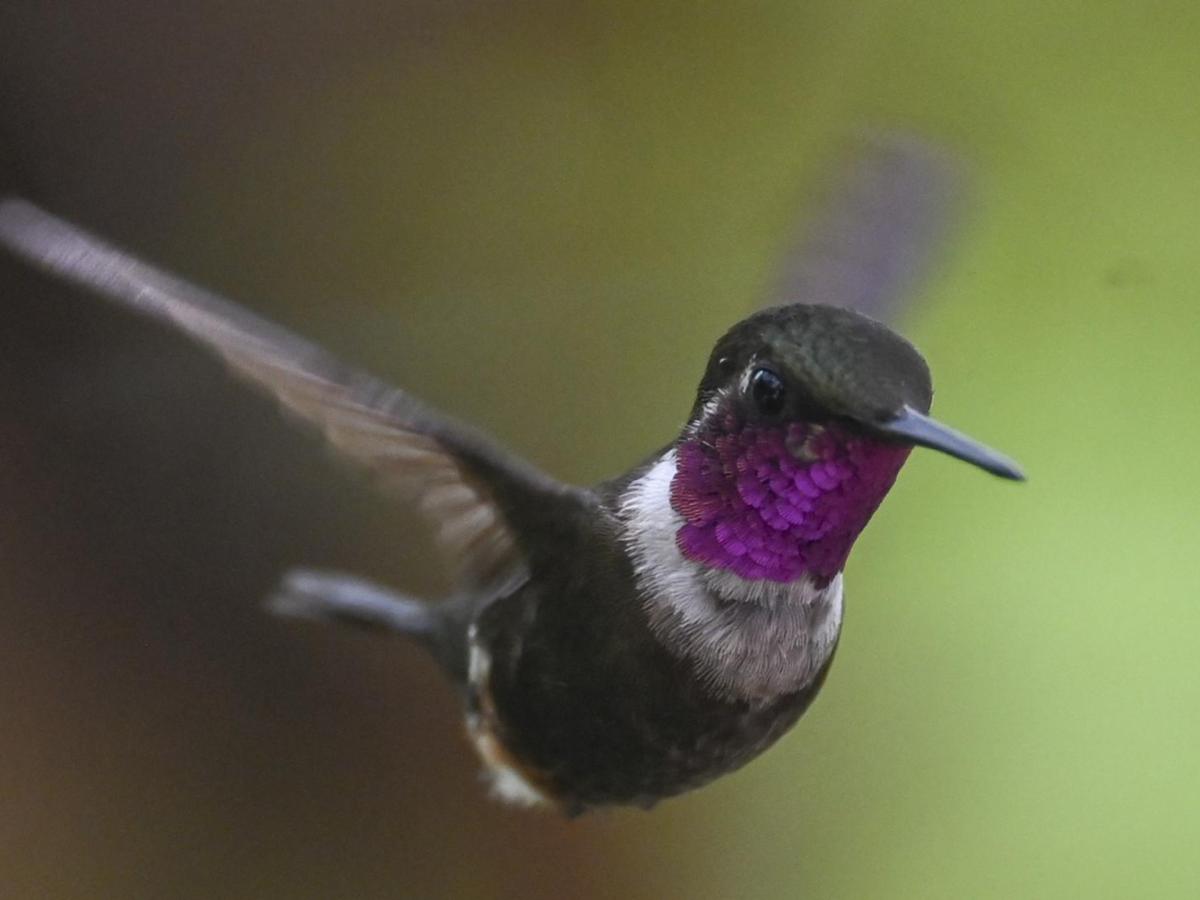 Conceptos clave sobre la COP16: ¿cuáles son?