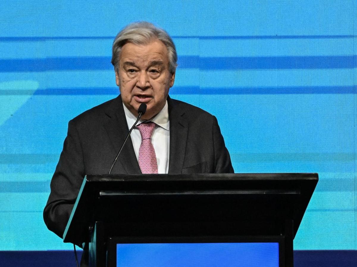 COP16: ONU habla de crisis existencial con la naturaleza