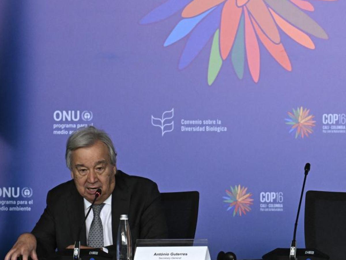 Jefe de la ONU, António Guterres.