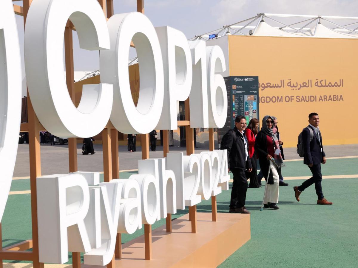 La COP16 concluye sin acuerdo vinculante sobre la sequía