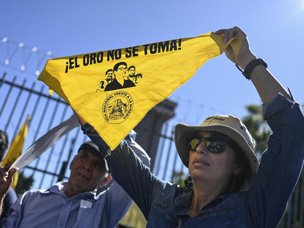 Ambientalistas Salvador