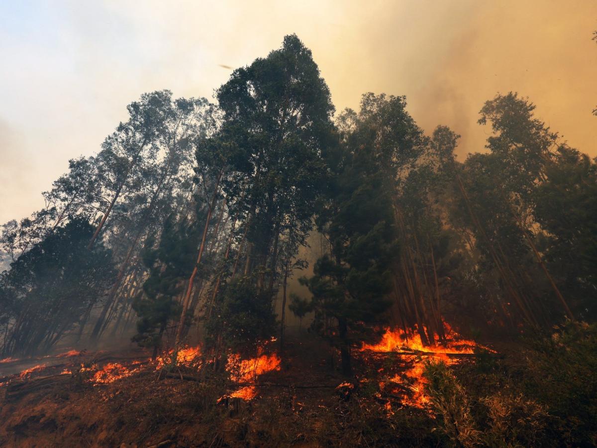 Informe fenómenos climáticos América Latina