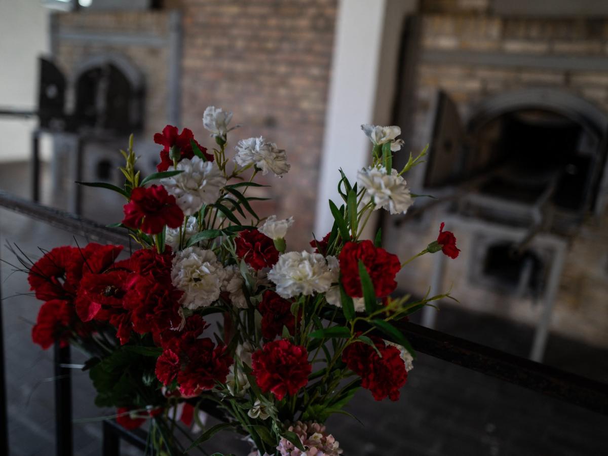 Sobrevivientes de la Segunda Guerra piden no olvidar el pasado