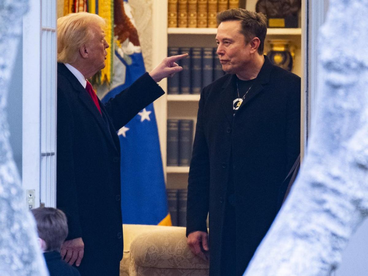 Elon Musk renunció a su cargo en el gobierno de Donald Trump