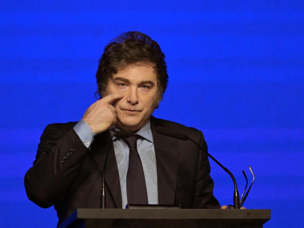 Polémica en Argentina: Milei usó imagen de niño autista y deberá dar explicaciones legales