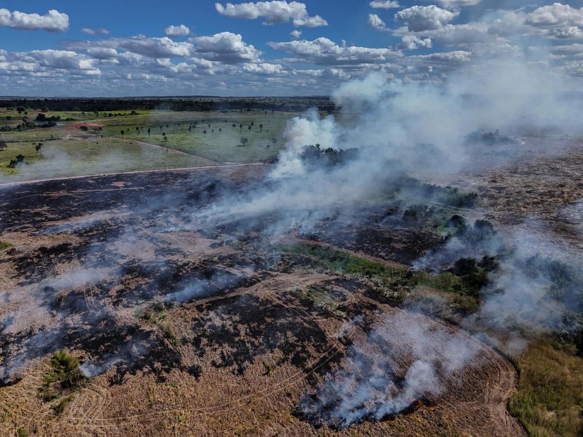 Día Internacional contra el Cambio Climático: rumbo a la COP30 en Brasil Día Internacional contra el Cambio Climático: rumbo a la COP30 en Brasil