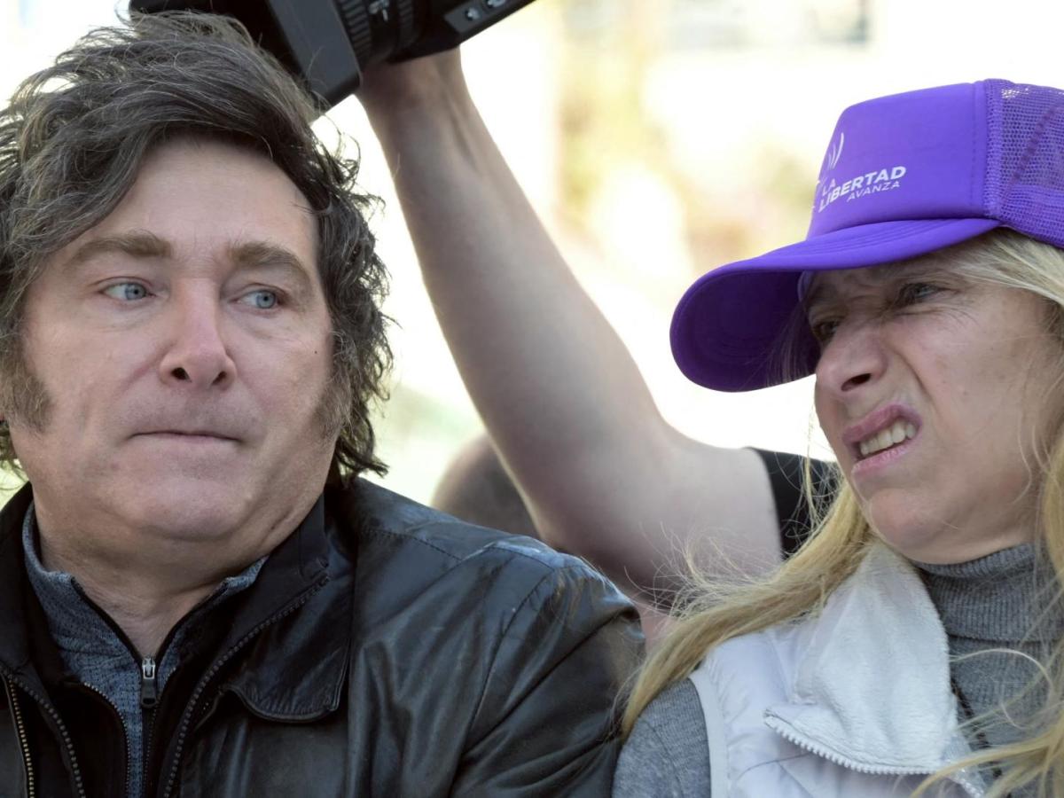 Partido de Milei derrotado en elección provincial