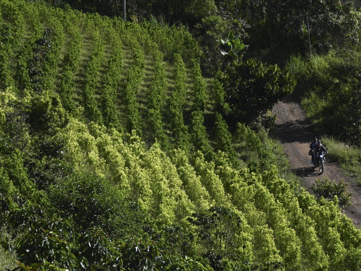 Presidente Petro resalta lucha contra las drogas en su Gobierno 
