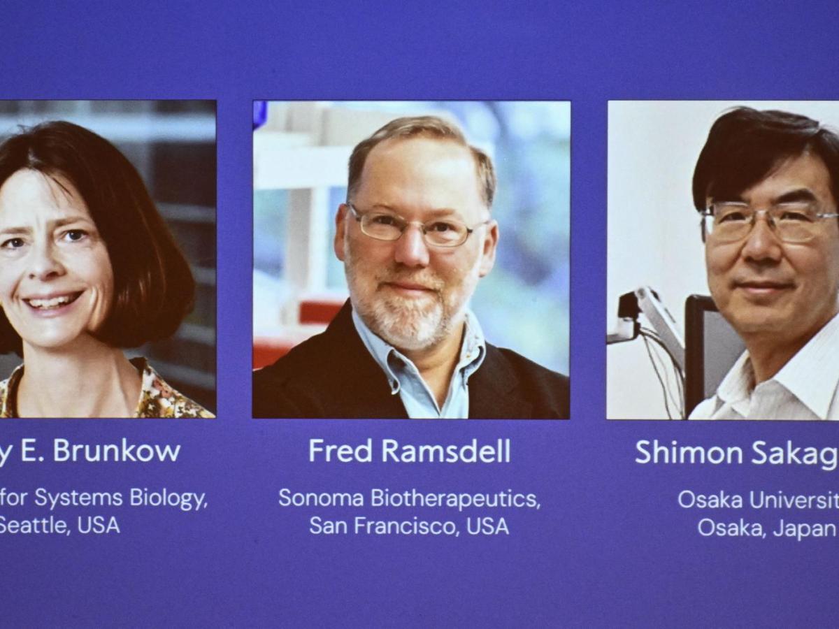 Premio Nobel de Medicina 2025 premia hallazgos sobre el control del sistema inmunitario