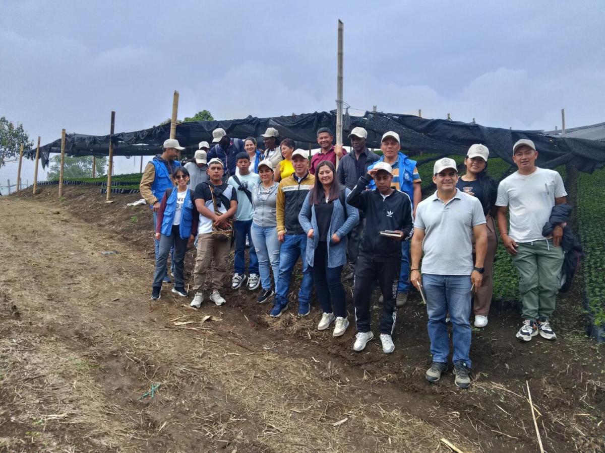 En Caldono, Cauca, campesinos e indígenas cultivan el café para la paz