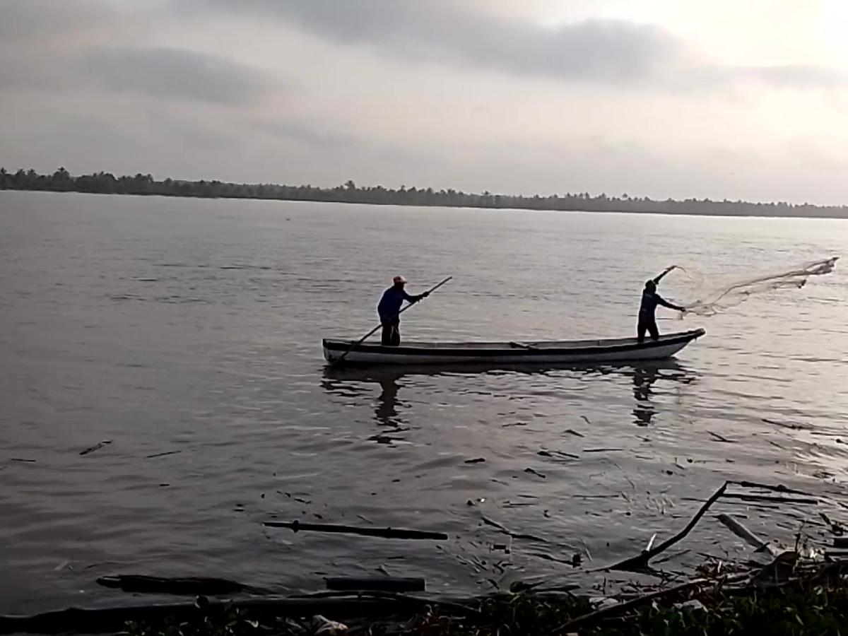 Día Mundial Medio Ambiente 2024: retos de la pesca en Colombia 