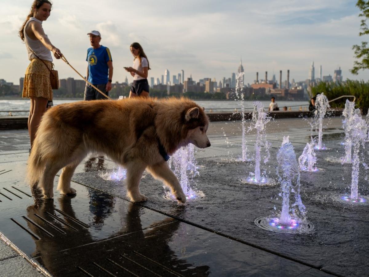 2023 en cifras: 10 récords que marcaron el año 