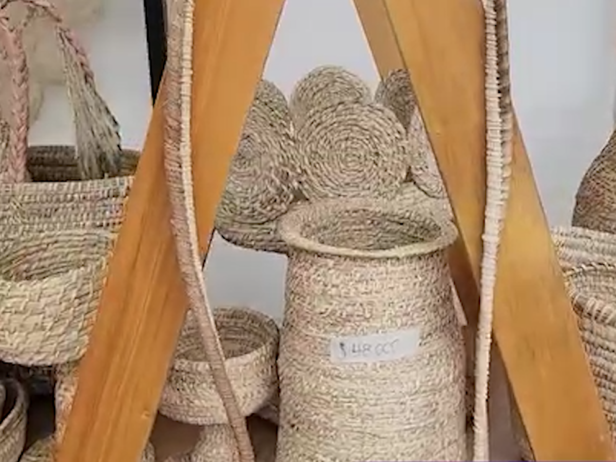 Jóvenes Ciencia para la Paz Tumaco: emprendimiento Eimar Arte, Innovación