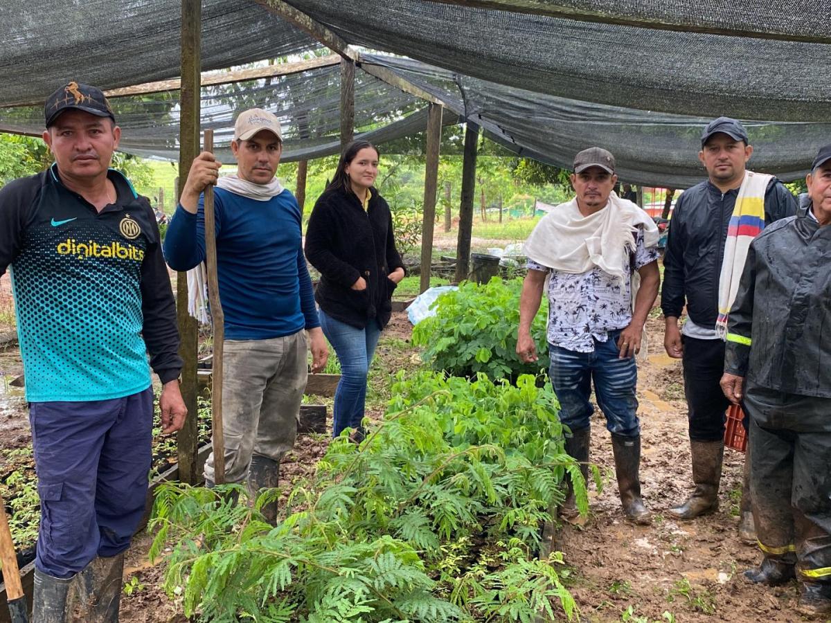 Día Mundial del Medio Ambiente: viverismo en San Vicente 
