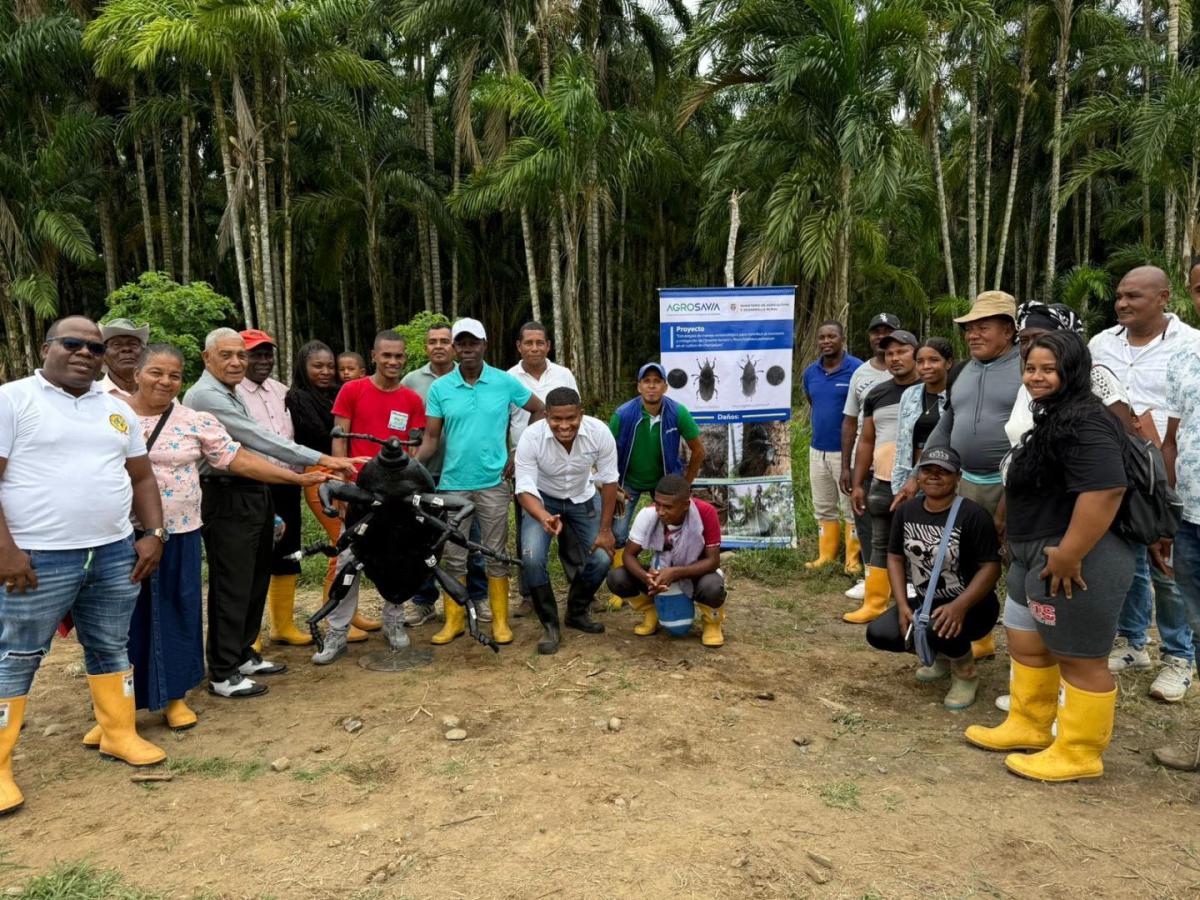 estrategias para mitigar el problema fitosanitario 