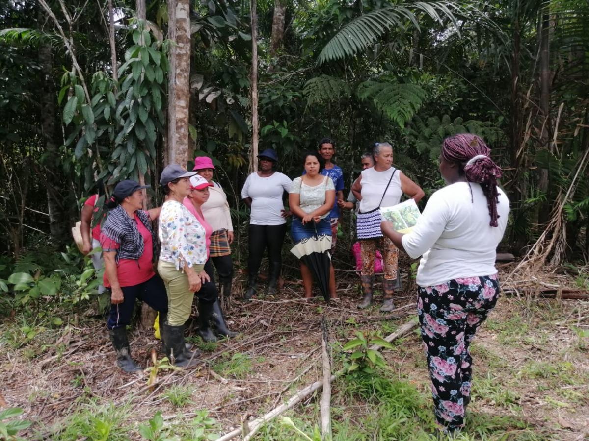Mujeres de Leguízamo, Putumayo, cultivan especies de frutos amazónicos