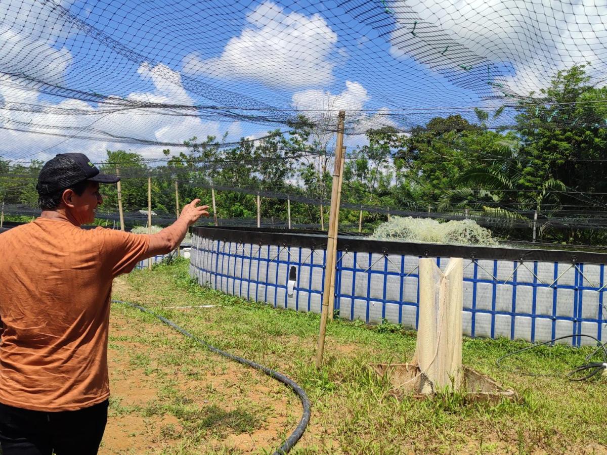 Firmantes de paz en Tumaco piden mayor apoyo al Gobierno nacional para continuar su proceso a hacía la paz