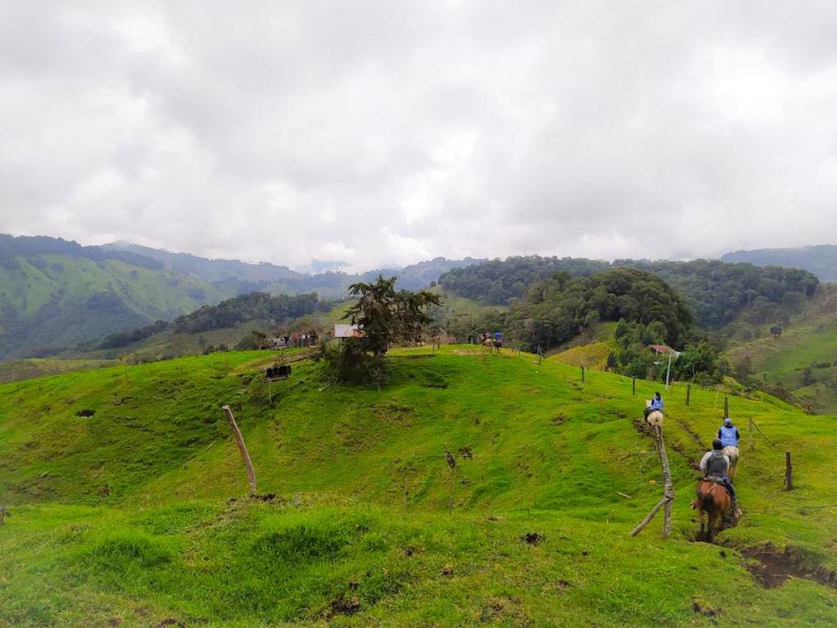 Calamidad pública en municipio de Tolima por Fenómeno de El Niño