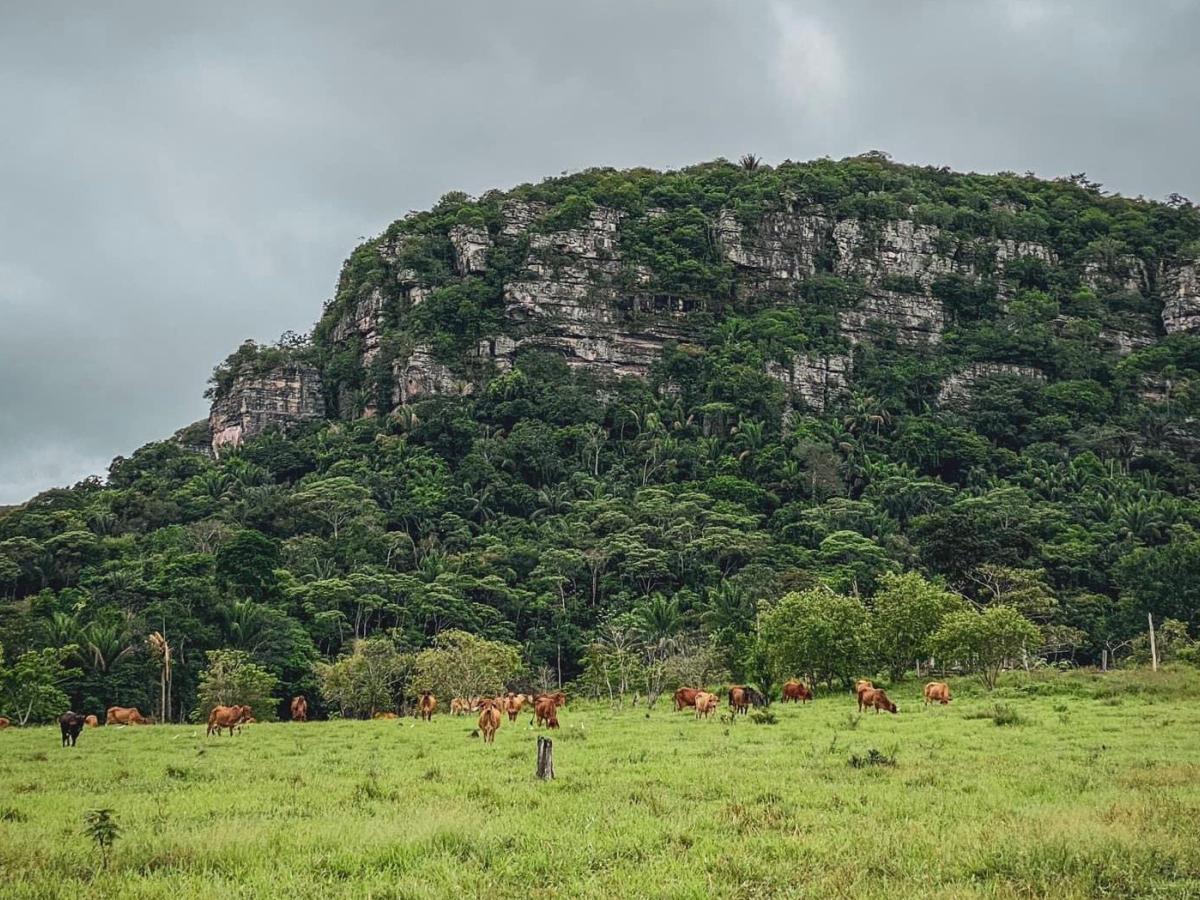 Guaviare, tercer departamento con la deforestación más alta