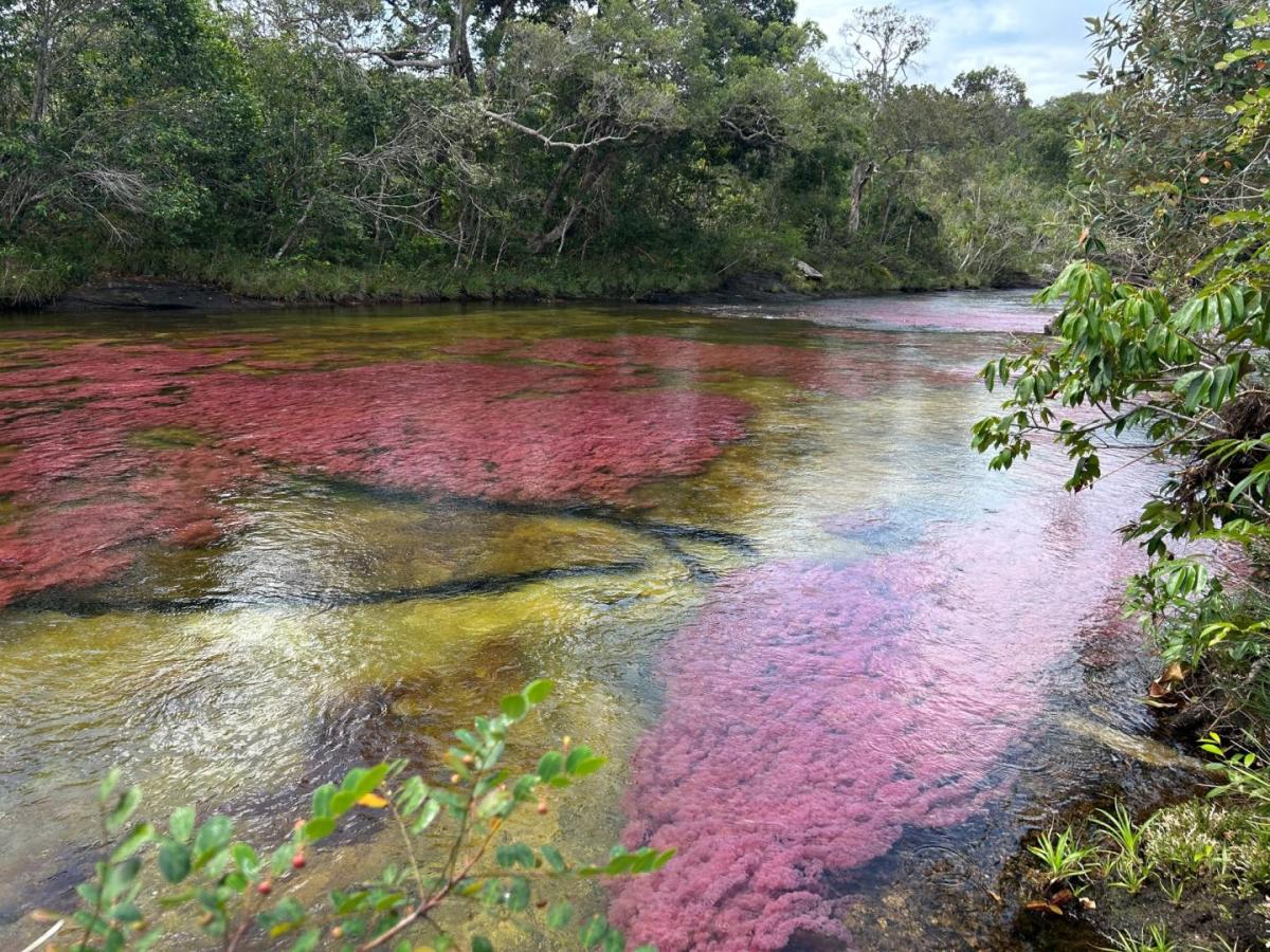 La Cachivera, corazón del turismo natural en La Macarena 