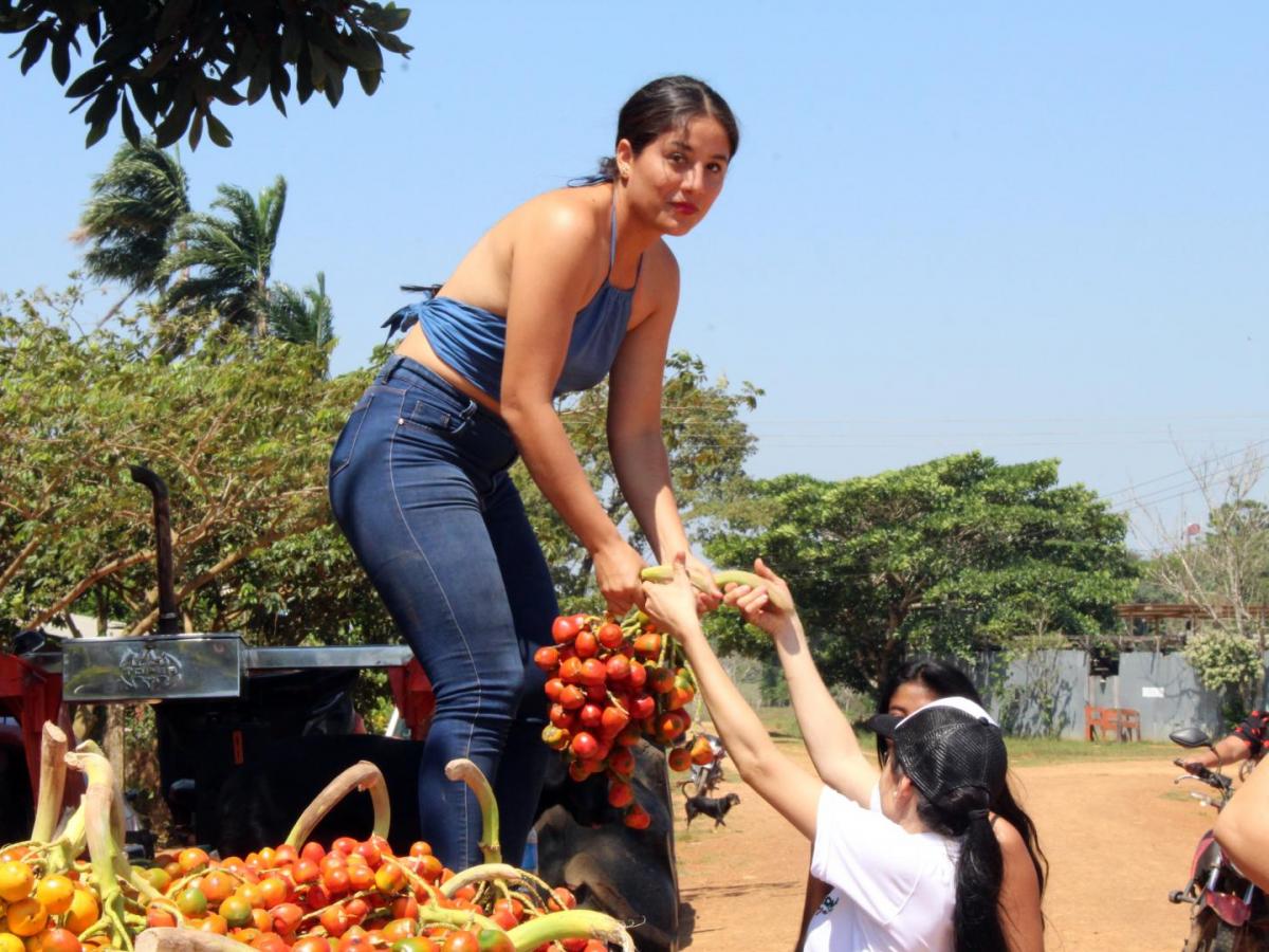 Productos del chontaduro en el Guaviare | Mujeres emprendedoras