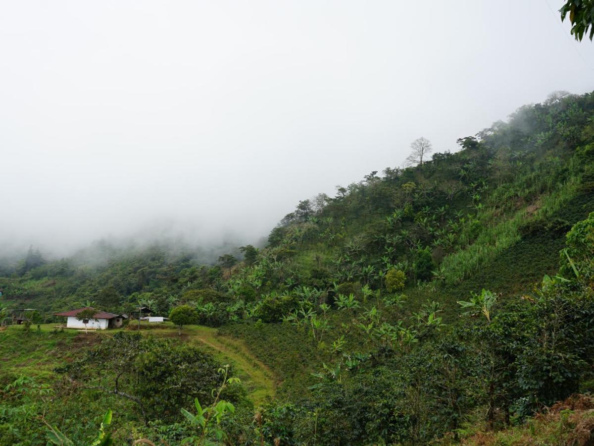 Datos claves del Acuerdo de Paz siete años después de su firma