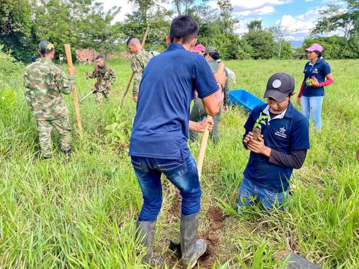La deforestación en el Meta se reduce en un 34% en el 2023