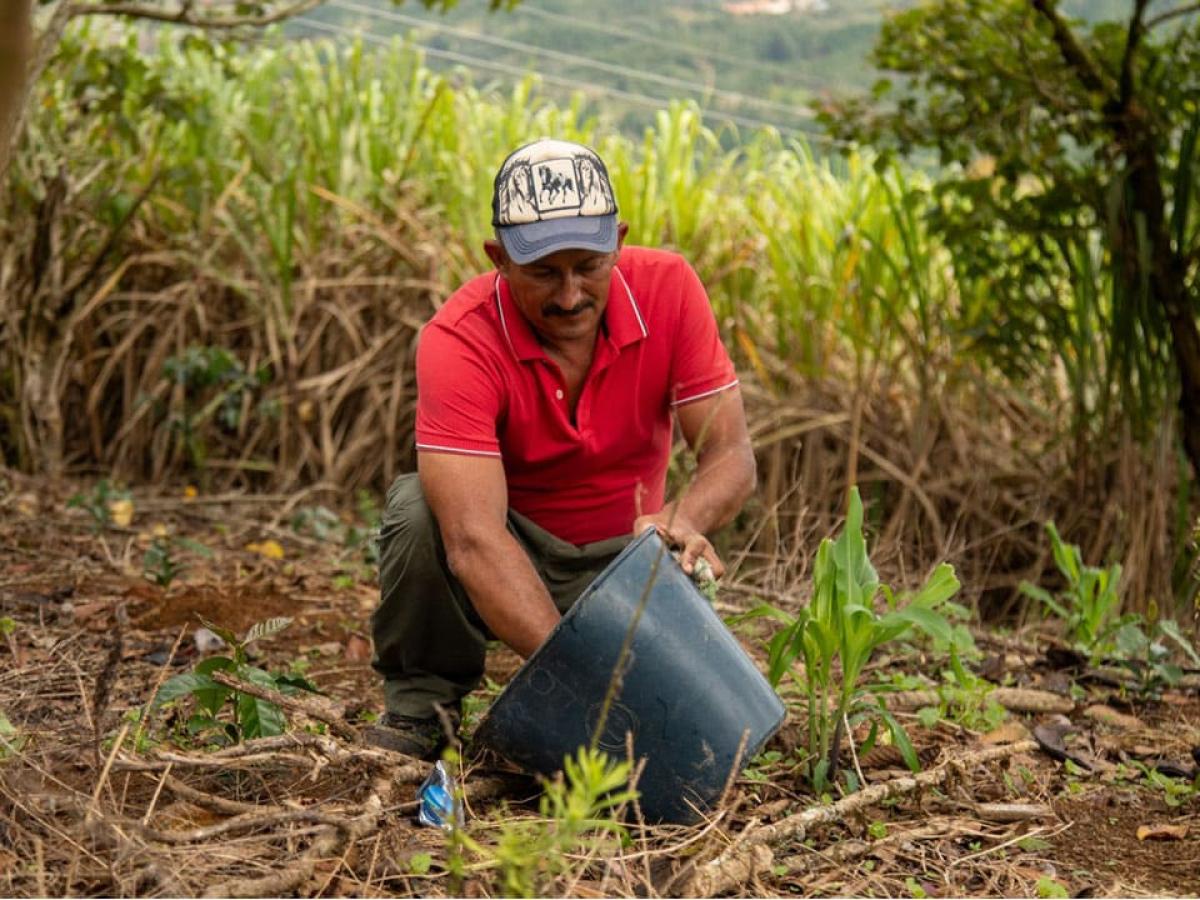 Entrega de tierras a campesinos de Montes de María, Argos