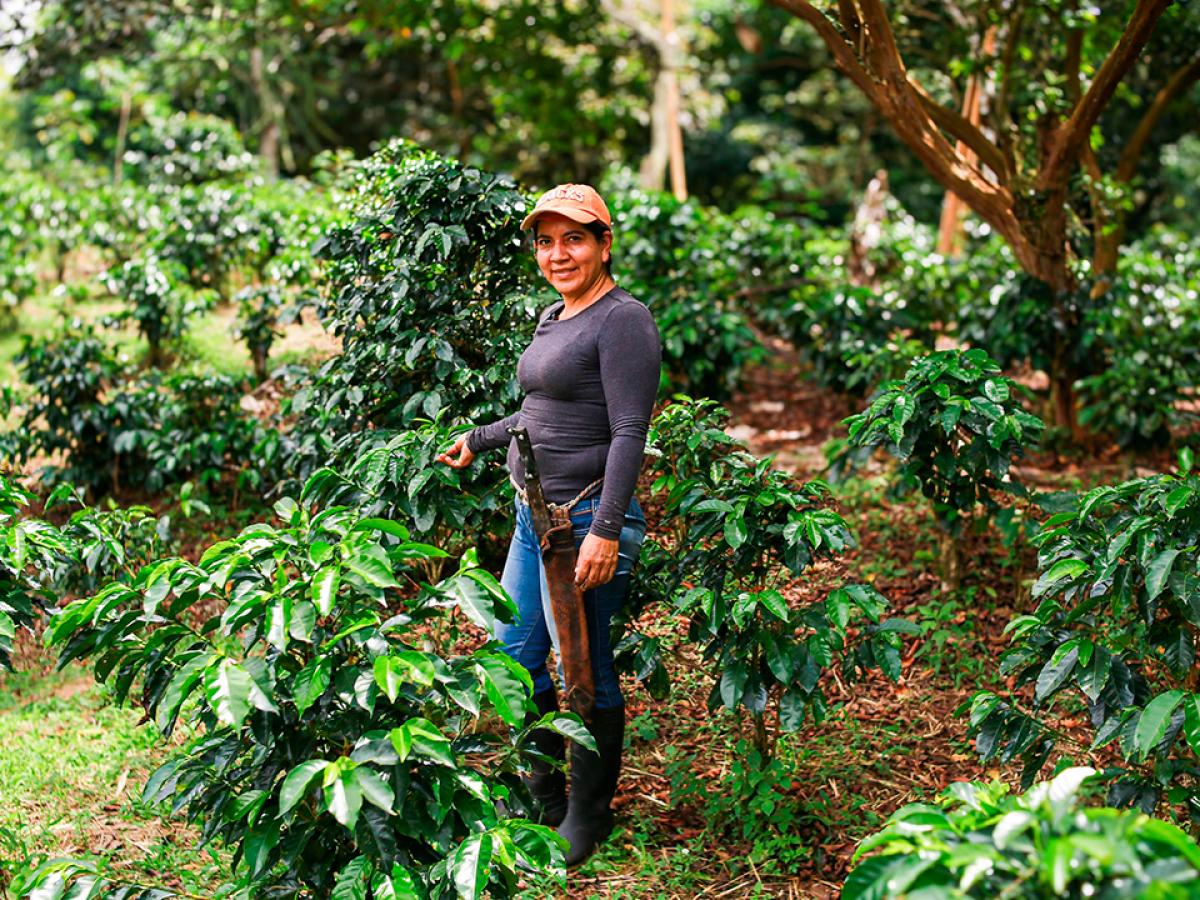 Incremento agroexportaciones en abril 2024