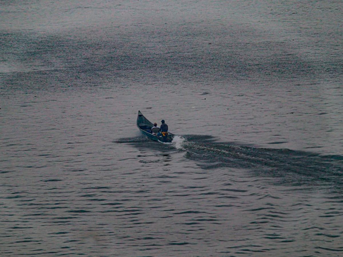 Río Guajuí, Cauca: Justicia ordena restituir más de 35 mil hectáreas