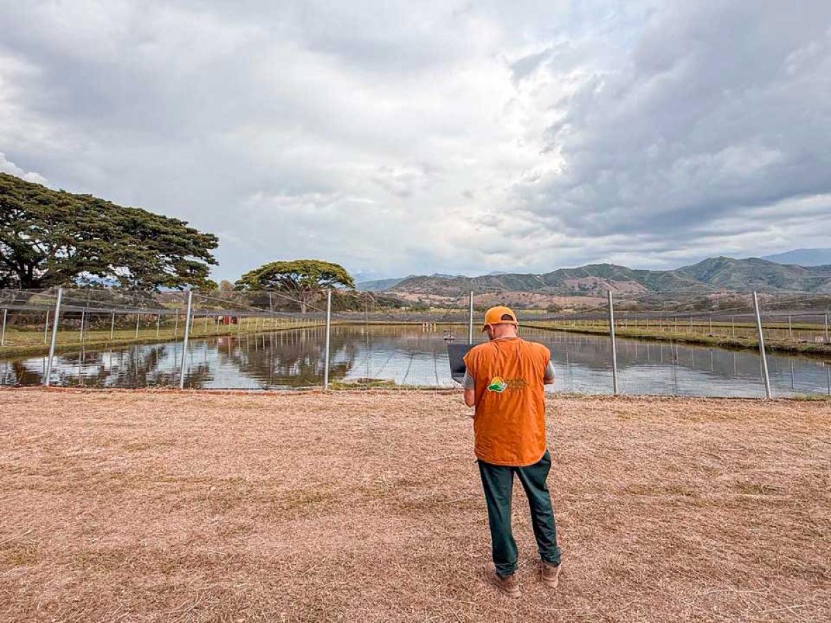 Campesinos de Tuluá reciben tierras de alias ‘Don Diego’ para agricultura