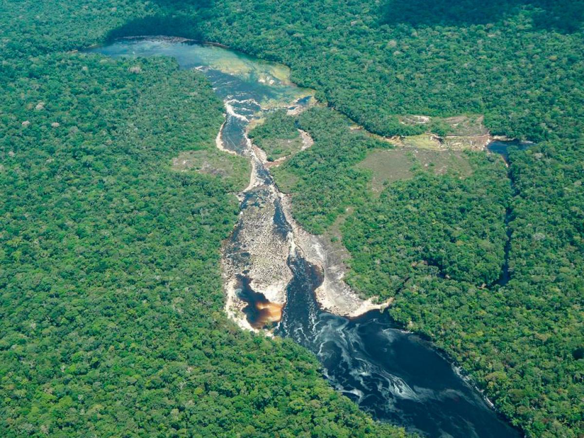 Guardiana de Chiribiquete: la nueva zona de reserva campesina en Guaviare
