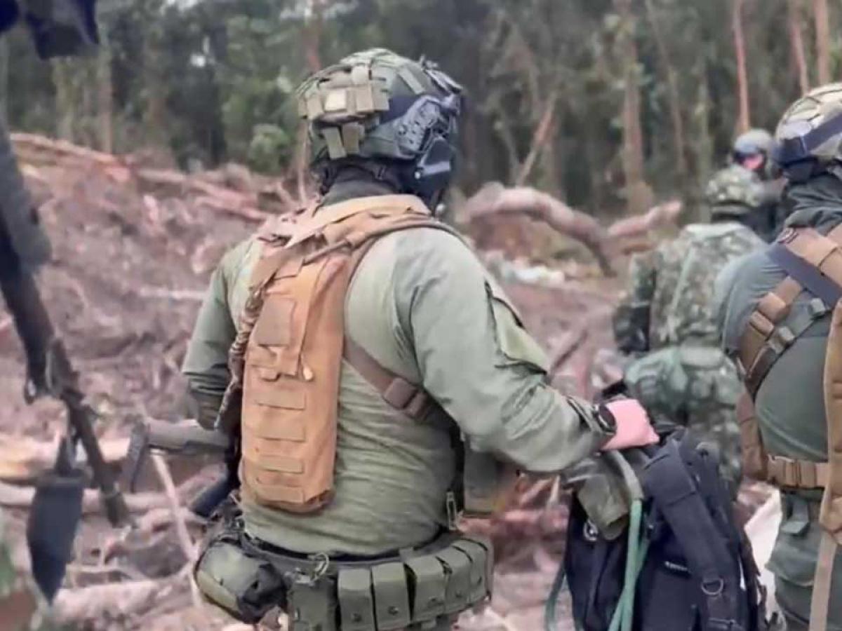 Fuerza Pública en Colombia tiene 76,6 % de favorabilidad, según encuesta