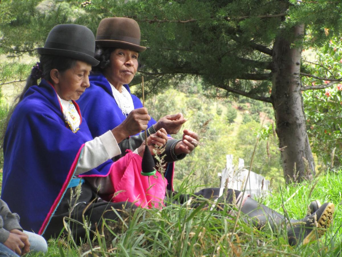 Premio a docente de UniCauca por protección de lenguas indígenas